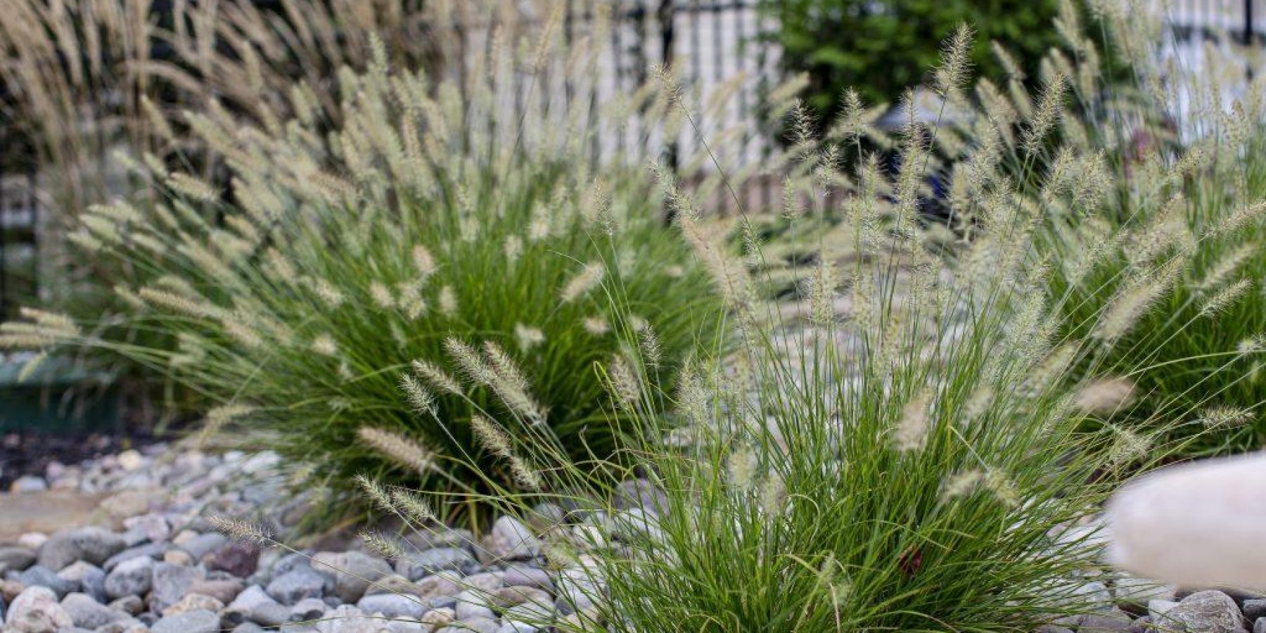 Unusable Hillside to Usable, Flowing, Rooms