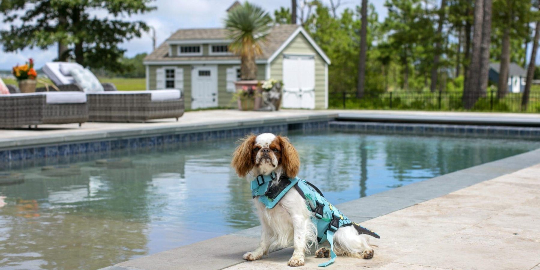 A Pool Ready to Party