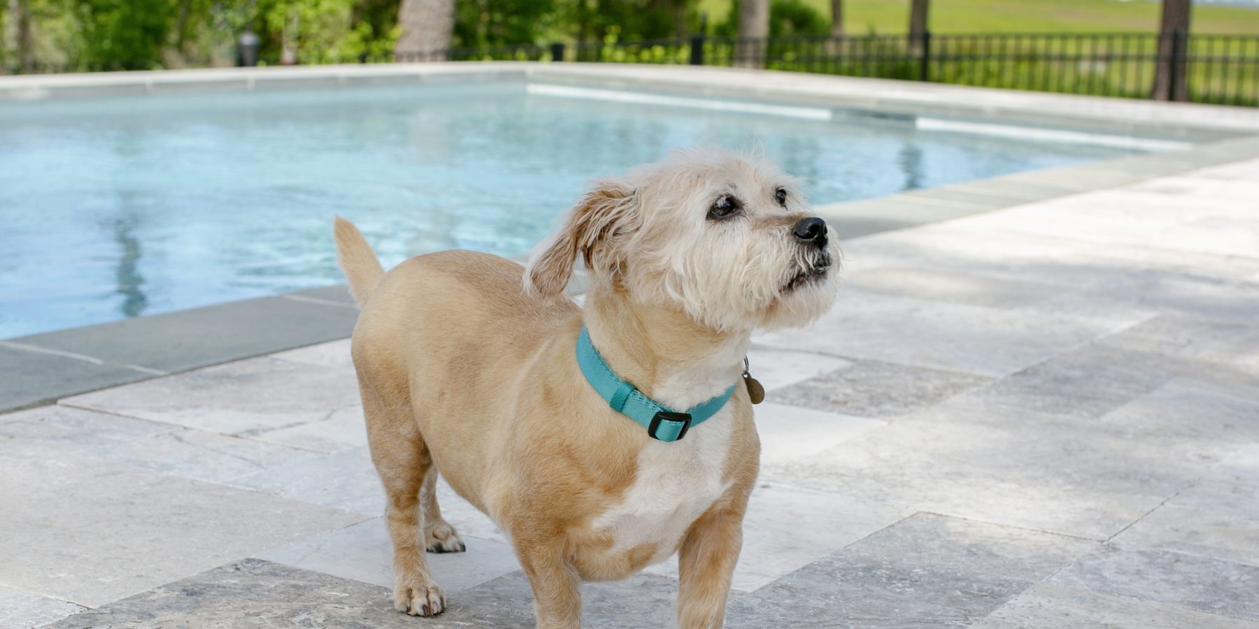 Raised Pool on Sloping Yard